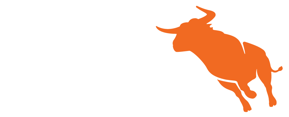 Bullhorn logo